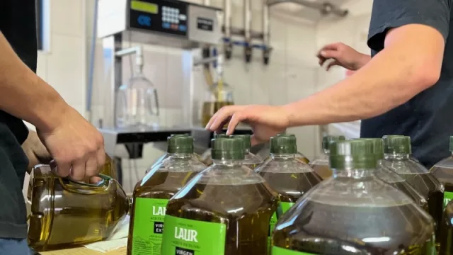 Mendoza tiene su propia Identificación Geográfica para el aceite de oliva  