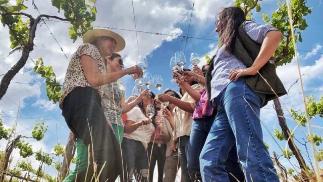 Las mujeres del vino, en la mesa de las decisiones