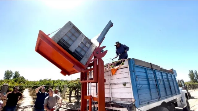 La Asociación de Viñateros de Mendoza suma tecnología en su mecánica para optimizar la cosecha 