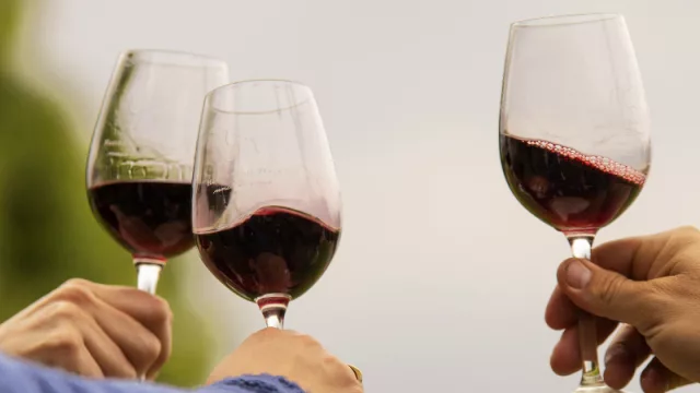 El Malbec Argentino despliega todo su potencial en una nueva edición del Malbec World Day