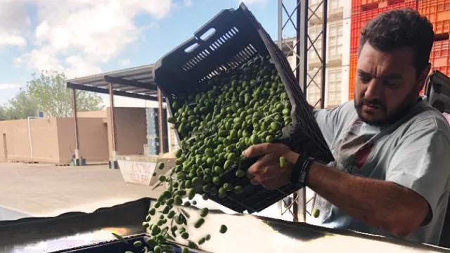 Laur: la número 1 del mundo que logró llegar al podio sin sacrificar la sustentabilidad