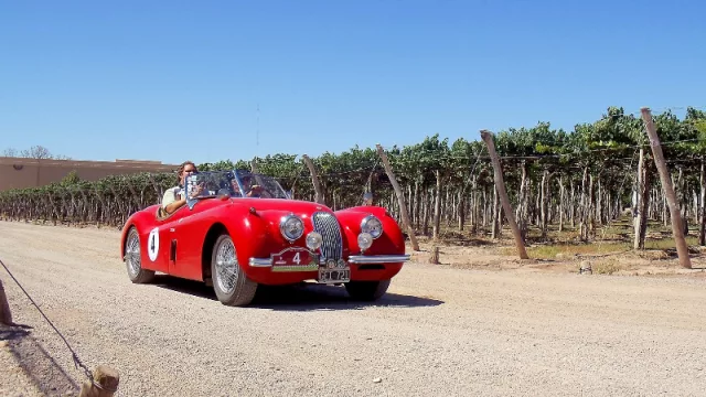 Bodegas Bianchi anfitriona del Rally de las Bodegas 2022