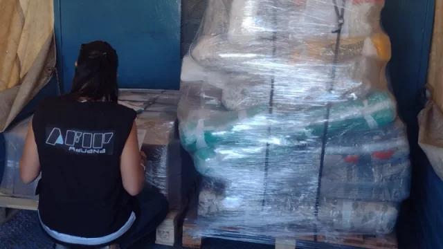 Se facilitan negocios entre Mendoza y Chile a través de la plataforma comercial Puente Andino