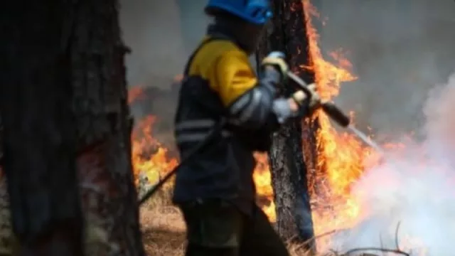 Mendoza ayuda a Corrientes: empresas mendocinas se unen para ayudar a los damnificados