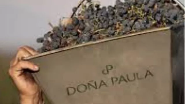 Bodega Doña Paula avanza en el camino de la sustentabilidad