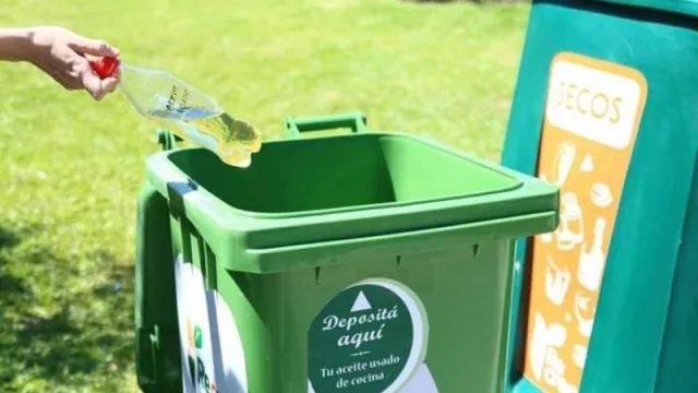 Día Mundial de la Educación Ambiental: Los niños como agente de cambio de futuro (con empresas que respaldan)