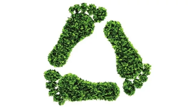 La UNCUYO adhirió a una iniciativa que promueve carbono cero para instituciones educativas del mundo