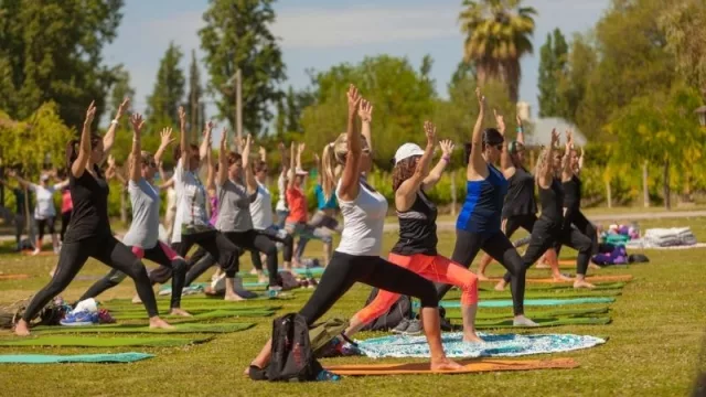 Yoga por los caminos del vino en Terraza de Los Andes 