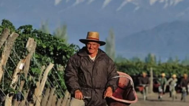 Créditos del Banco Nación a tasa bonificada para productores, bodegueros y cooperativas ($ 1.500 millones en financiación)