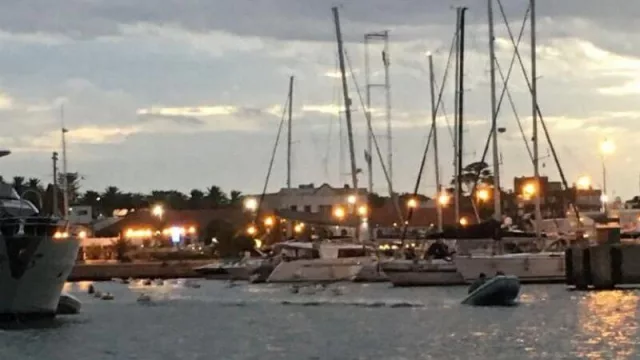 Después de dos años a media máquina, el puerto de Punta del Este se prepara para volver a colmar su capacidad