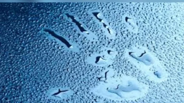 Huella ambiental: Kilimo y Circa abrieron la charla en Mendoza