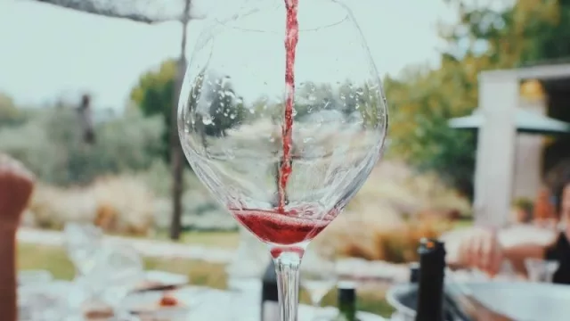 El balance anual del vino argentino con resultados positivos  