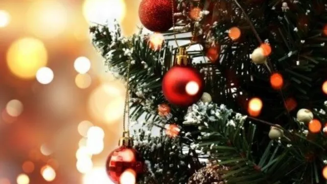 ¿Cuánto le cuesta armar el arbolito de Navidad a los mendocinos?