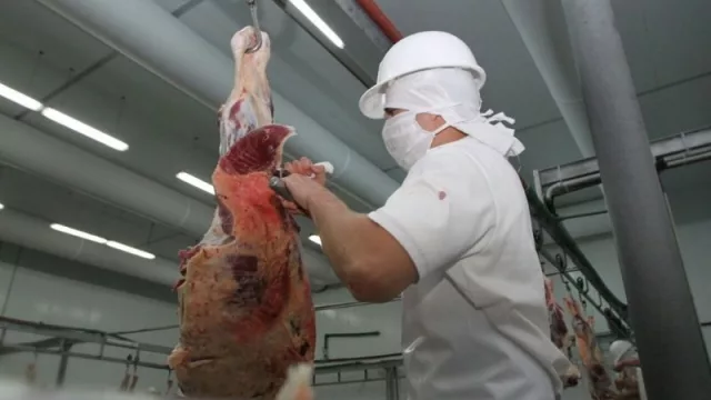 Carne y derivados es el rubro de exportación de mayor crecimiento en volumen
