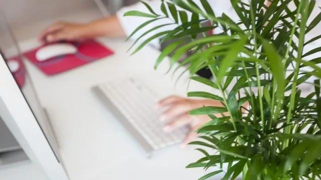 Renuncias por vuelta a la presencialidad: experta dice que mercado paraguayo favorece a un modelo combinado