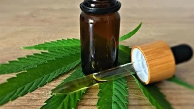 Cannabis medicinal, incursionar en un producto que da que hablar 