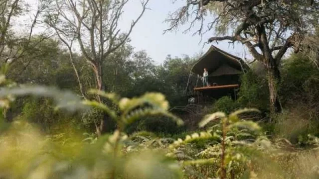 El turismo de naturaleza colmó la ocupación hotelera en Chaco