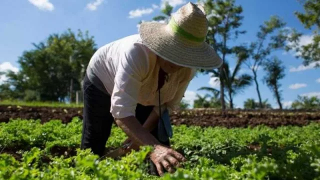Expectativa por el Segundo Congreso Argentino de Agroecología que se realizará en Chaco