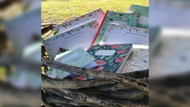 Papelería Patagonia: un emprendimiento con diseños inspirados en la cordillera 