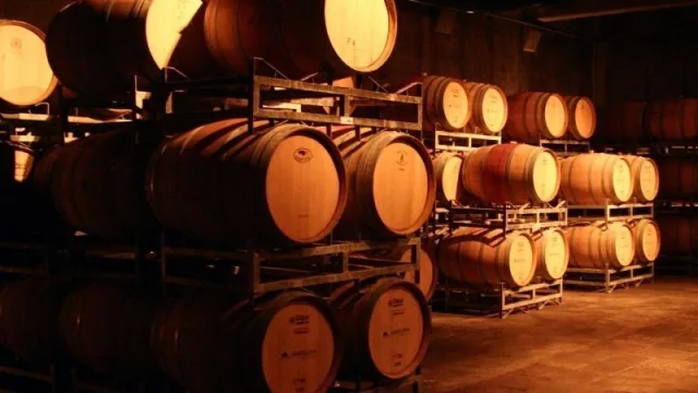 Adecco Argentina creó su División Vitivinícola con foco en las provincias productoras (Mendoza es una de las principales plazas)