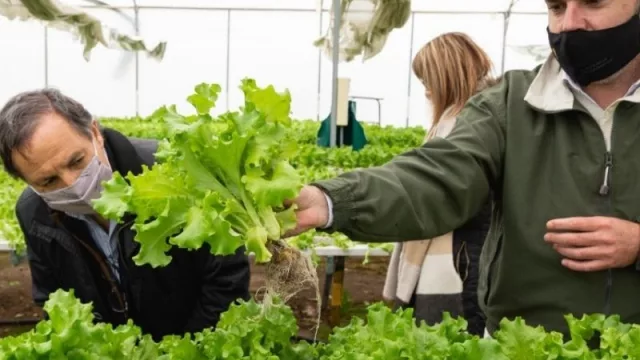 Las pymes de Alvear se abren a las herramientas financieras de ProMendoza 