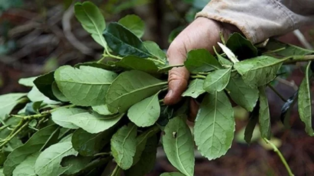 El sector productivo del INYM salió al cruce de la molinería (por transparentar al sector)