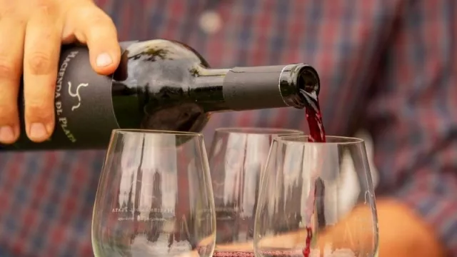 Capacitación gratuita de Fermentis Academy (para simplificar las operaciones enológicas durante la vendimia)