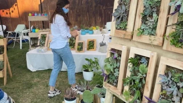 Flor de Feria tendrá 2 grandes ediciones en primavera