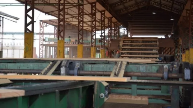 Habilitan créditos de hasta $ 10 millones para pymes foresto industriales correntinas 