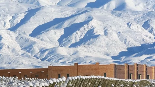 Mendoza subsidia más de 80% del costo total del seguro agrícola ($ 40.000 de aporte económico por hectárea dañada al 100%)