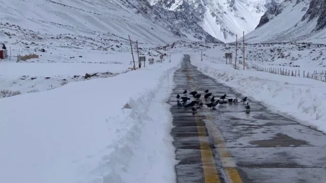 Reabre Los Puquios y Río Bike Park (pistas de trineo y sector de Picnilandia)