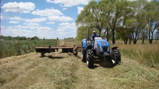 Rio Negro: el sector agropecuario recibe financiamiento para fortalecer a los productores 