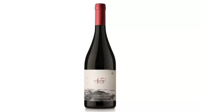 Otronia se suman la celebración del día mundial del Pinot Noir