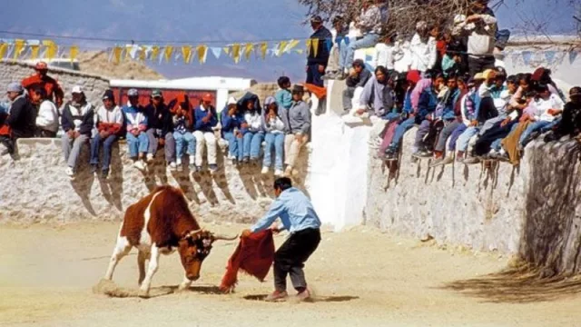 Apuesta de Quilmes en Tucumán: producción de una marca internacional 