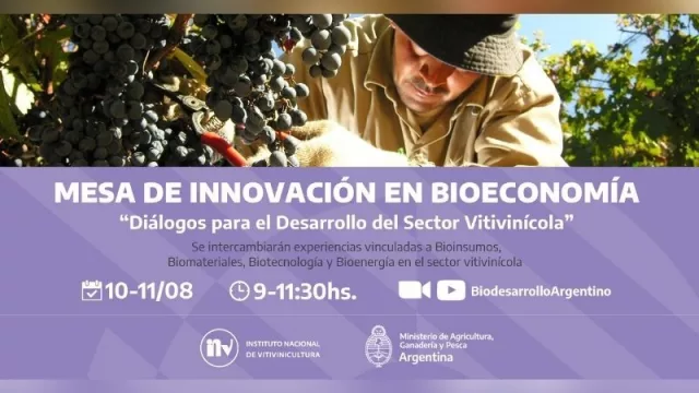 El INV y la Dirección Nacional de Bioeconomía organizan la Mesa de Innovación sobre biodesarrollos en el sector vitivinícola