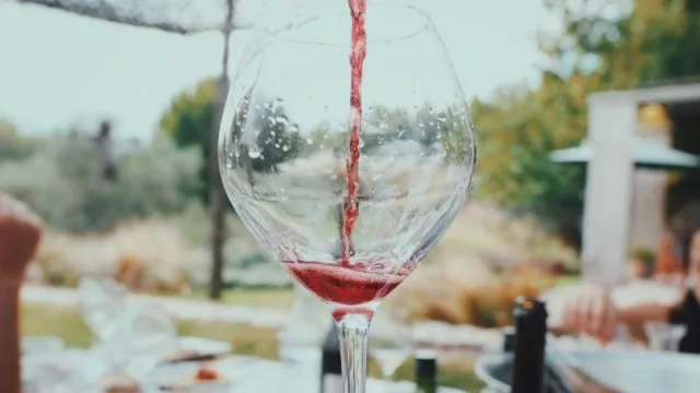 Bonarda, celebra su semana con un crecimiento en los últimos 10 años del 258% en el mercado exterior