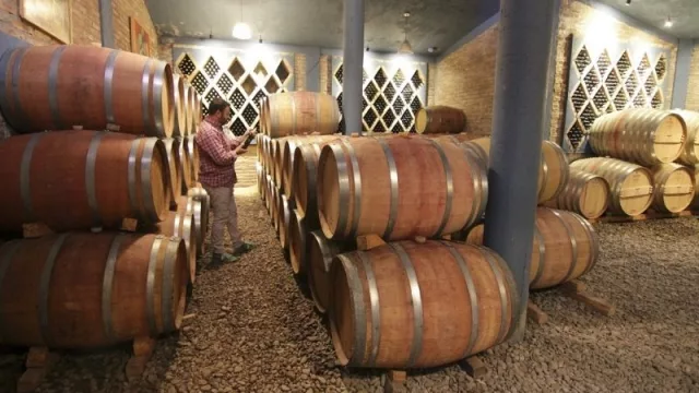 Camino del Vino Tucumano: turistas disfrutan 14 bodegas de los Valles Calchaquíes 