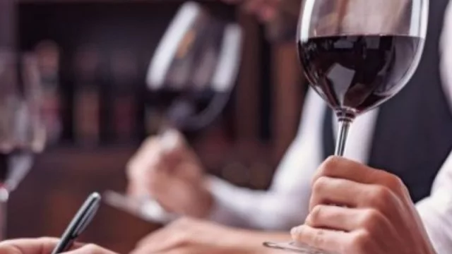 El INV lanza 20 cursos de formación en materia vitivinícola 