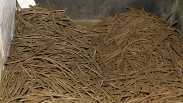 Paraguay, primer país de Latam en exportar alimentos derivados del cannabis a la UE