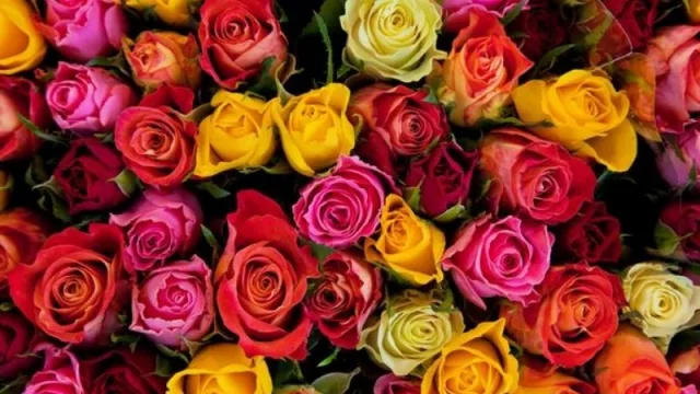 Floricultores y viveristas mendocinos impulsan campaña de promoción para el Día del Amigo