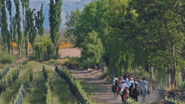 Cómo impactan las reducciones a las retenciones por exportaciones en la agroindustria de Mendoza