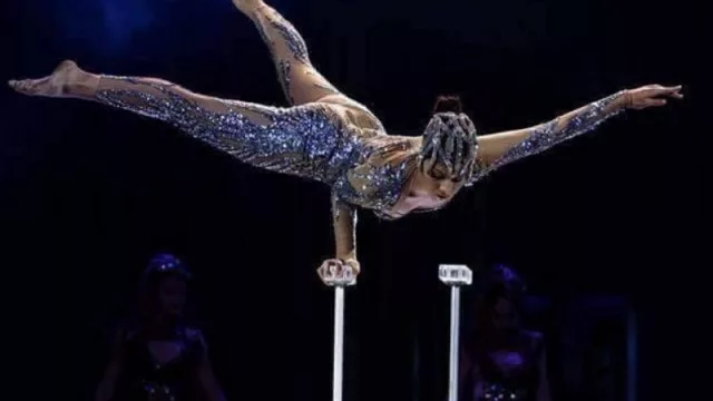 El negocio del circo y una propuesta especial para empresas