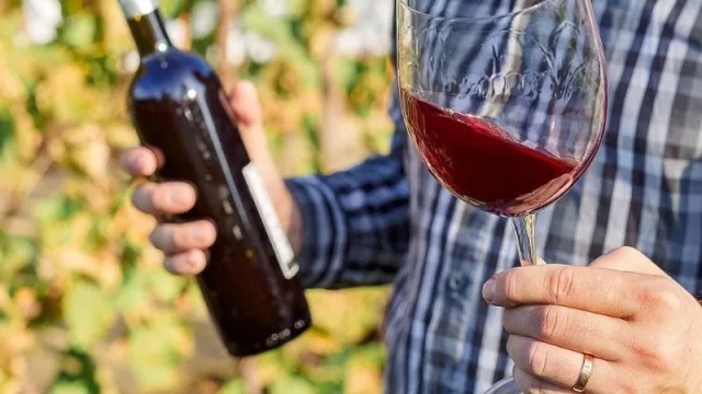 El vino como negocio: la innovadora propuesta de Winexperts de Argentina 