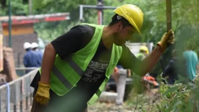 Extrajeron casi mil toneladas de guano en operativos de limpieza del Ecoparque