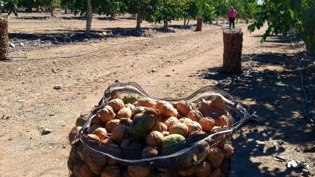 Crece en Mendoza el uso de bioinsumos para la agricultura