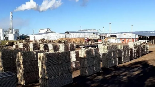 Primera exportación a EEUU de madera del Parque Foresto Industrial Santa Rosa