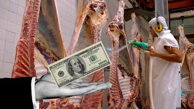 Radiografía del sector de la carne: cómo se fijan los precios y cuánto se perderá por el cierre de exportaciones