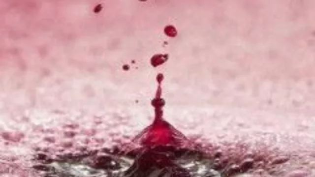 Capacitación para la exportación de vino a granel 