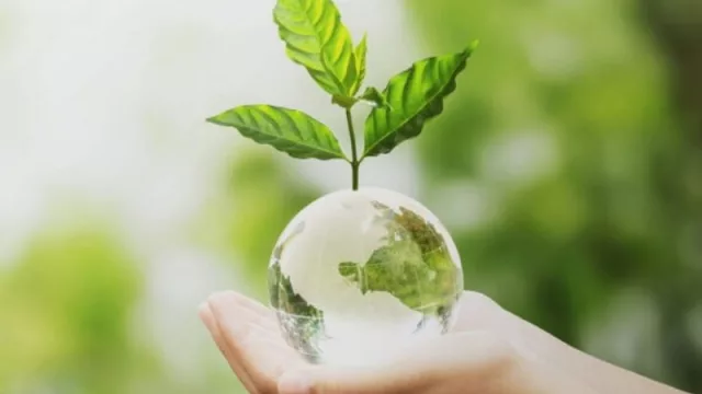 Empresas y cambio climático ¿Qué se puede hacer por el planeta?