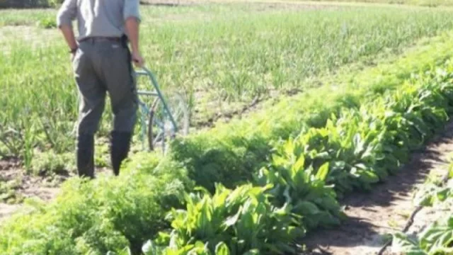 Un proyecto que apunta a mejorar la vida de campo